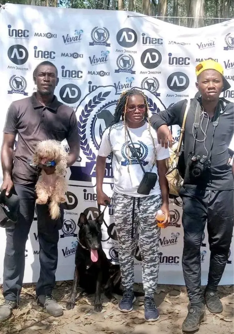 Chien après toilettage AnimAmi