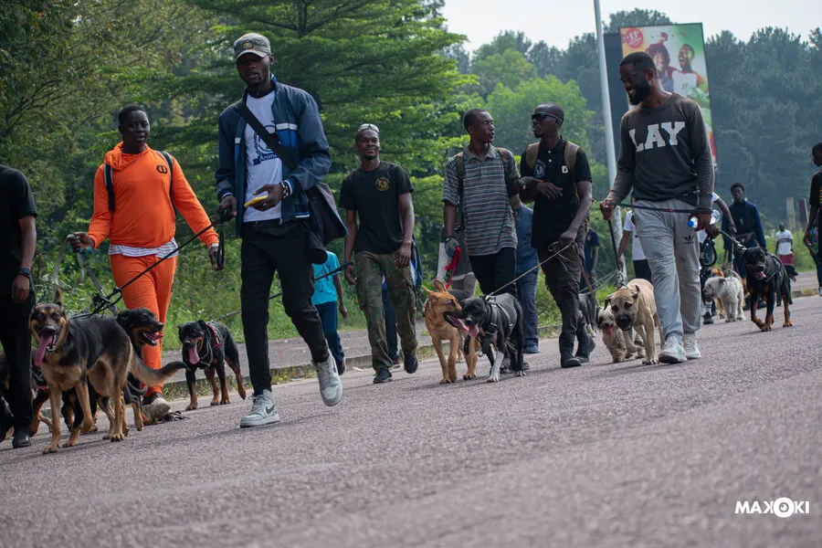 Séance de toilettage à domicile